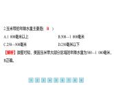 9.5 美国——高度发达的经济 人口与城市 习题课件-七年级地理下学期湘教版（2024版）