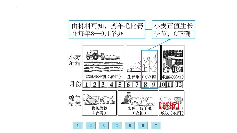 9.6 澳大利亚——后起的发达国家 习题课件-七年级地理下学期湘教版（2024版）第7页