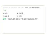 专项素养综合全练(五)　巴西 习题课件-七年级地理下学期湘教版（2024版）