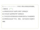 期末素养综合测试(二) 习题课件-七年级地理下学期湘教版（2024版）