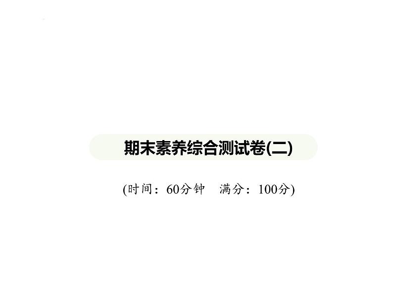 期末素养综合测试卷(二)  习题课件-七年级地理下学期湘教版（2024）第1页