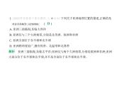 期末素养综合测试卷(二)  习题课件-七年级地理下学期湘教版（2024）