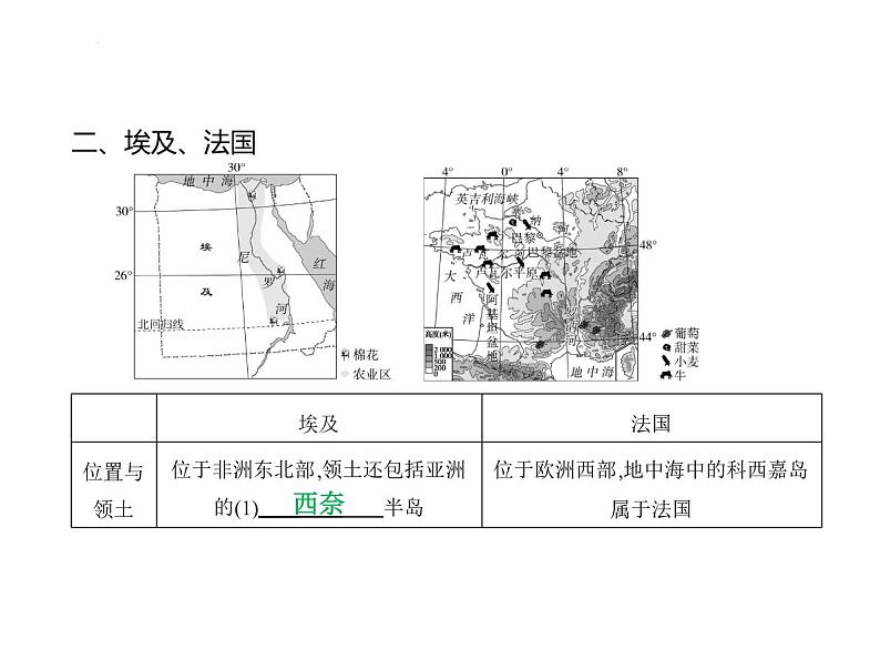 期末素养知识梳理卷 习题课件-湘教版七年级地理下册第5页