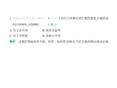 第九章　素养提优测试卷 习题课件-湘教版七年级地理下册