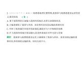 第八章　素養(yǎng)提優(yōu)測(cè)試卷 習(xí)題課件-七年級(jí)地理下學(xué)期湘教版（2024）