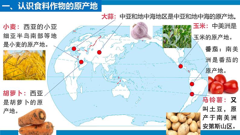 跨学科主题学习+探索外来食料作物传播史（课件）2024-2025学年七年级地理上册课件（人教版2024）第7页