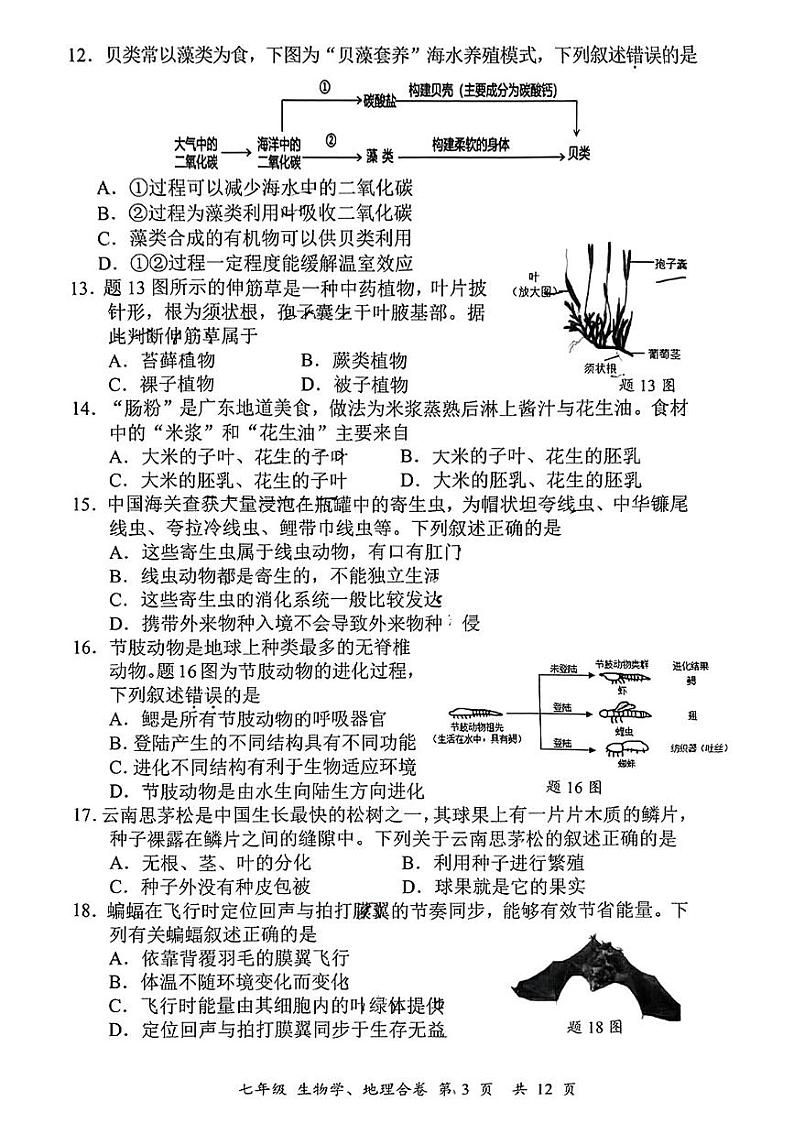 广东省深圳市宝安区2024-2025学年上学期七年级期末考试地理生物题第3页