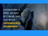 初中  地理  人教版（2024）  七年级上册(2024) 第三节 海陆的变迁 课件