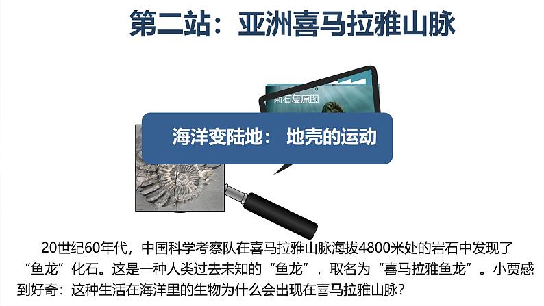 初中  地理  人教版（2024）  七年级上册(2024) 第三节 海陆的变迁 课件第6页