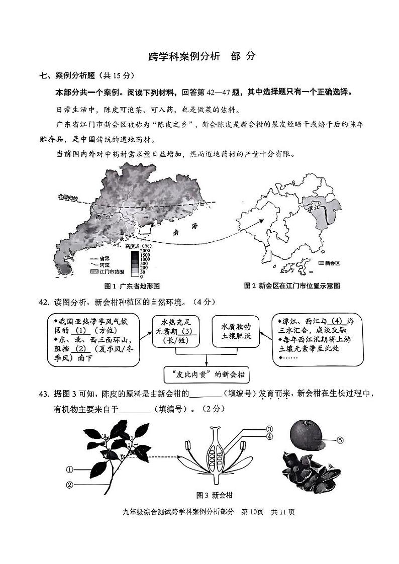 2025年上海市青浦区初三 中考一模 跨学科综合试卷第1页