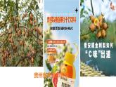 初中  地理  人教版（2024）  七年级上册(2024) 第二节 世界的地形 课件