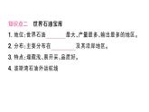 9.1西亚（习题课件）2024-2025学年人教版七年级地理下册