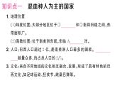 10.2巴西（习题课件）2024-2025学年人教版七年级地理下册