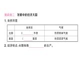 10.2巴西（习题课件）2024-2025学年人教版七年级地理下册