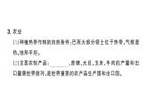 10.2巴西（习题课件）2024-2025学年人教版七年级地理下册