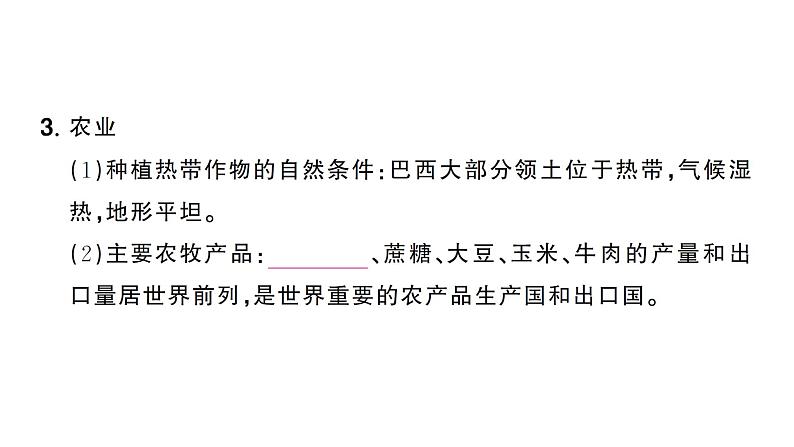 10.2巴西（习题课件）2024-2025学年人教版七年级地理下册第5页