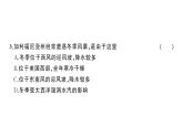 第十、十一章综合训练（习题课件）2024-2025学年人教版七年级地理下册