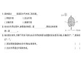 跨学科主题学习——探寻热带雨林的固碳功能（课件）2024-2025学年人教版七年级地理下册