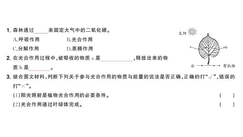 跨学科主题学习——探寻热带雨林的固碳功能（课件）2024-2025学年人教版七年级地理下册第3页