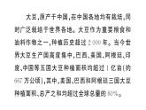 大单元主题探究一 世界大豆生产现状（课件）2024-2025学年人教版七年级地理下册