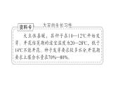 大单元主题探究一 世界大豆生产现状（课件）2024-2025学年人教版七年级地理下册