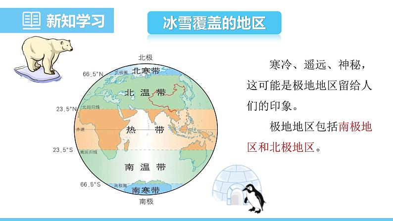 人教版（2024）七年级地理下册课件 第十一章 极地地区第4页