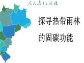 【跨學(xué)科主題學(xué)習(xí)】探尋熱帶雨林的固碳功能 (課件)-2024-2025學(xué)年人教版(2024)地理七年級下冊