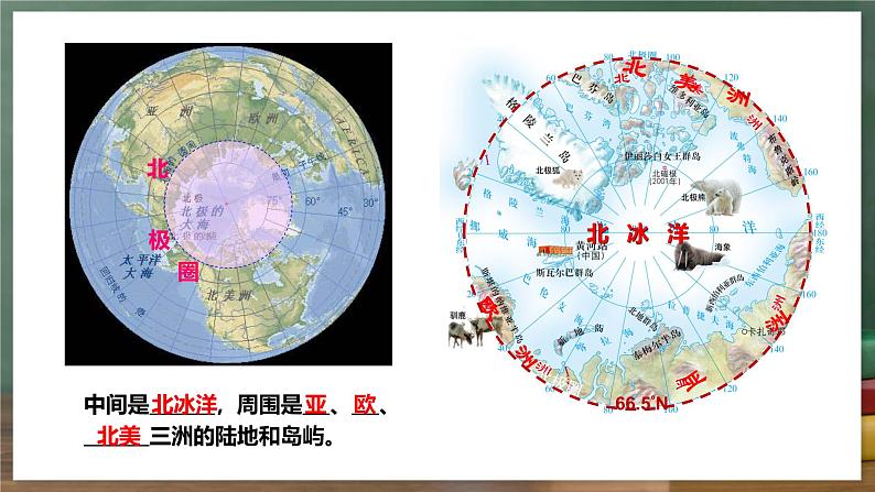 中图版地理八下 6.5《极地地区》课件第7页