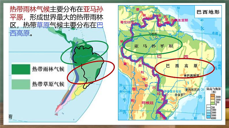 中图版地理八下 7.4《巴西》课件第8页