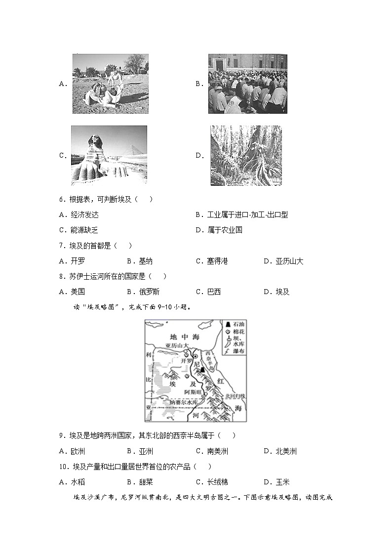 中图版地理八下 7.6《走进埃及》练习（原卷版）第3页