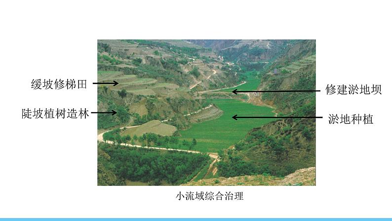 中图版（2024）七下地理课件 第七章 第三节 第二课时 综合治理让黄土高原披绿 别样的黄土地域文化第8页