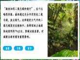 【人教新版】跨学科主题学习 《探寻热带雨林的固碳功能》教学课件