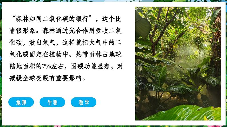 【人教新版】跨学科主题学习 《探寻热带雨林的固碳功能》教学课件第2页