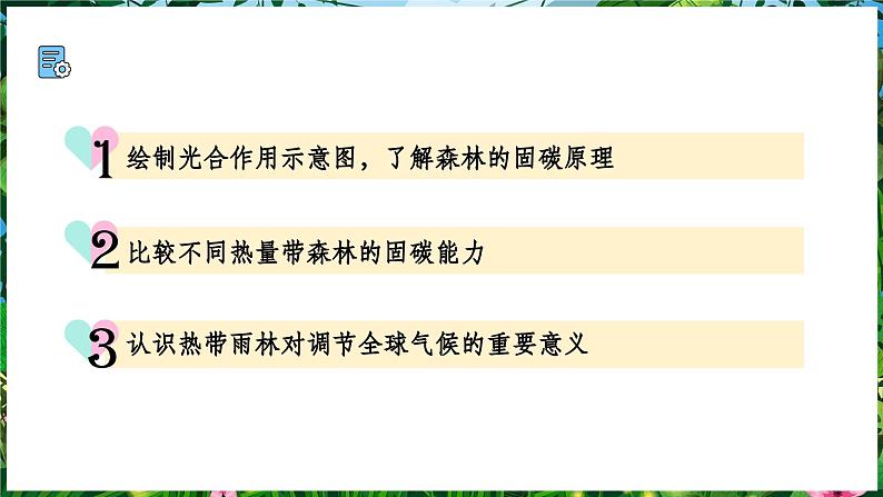 【人教新版】跨学科主题学习 《探寻热带雨林的固碳功能》教学课件第3页