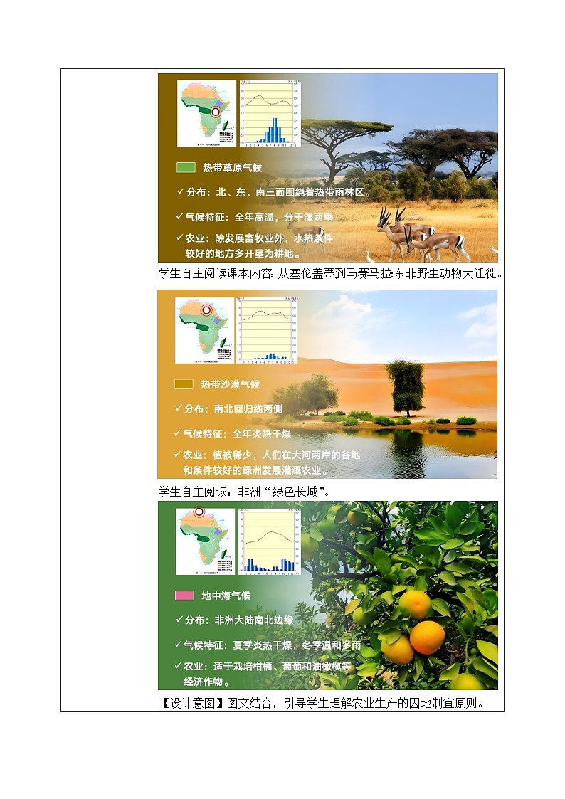 7.2.2非洲【教学设计】（第2课时——炎热的气候、人口和经济）——2025新教材湘教版初一地理下册第3页