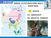 2024—2025學(xué)年七年級(jí)地理下冊(cè)人教版7.1.3 我們生活的大洲—亞洲（第3課時(shí)）（課件）