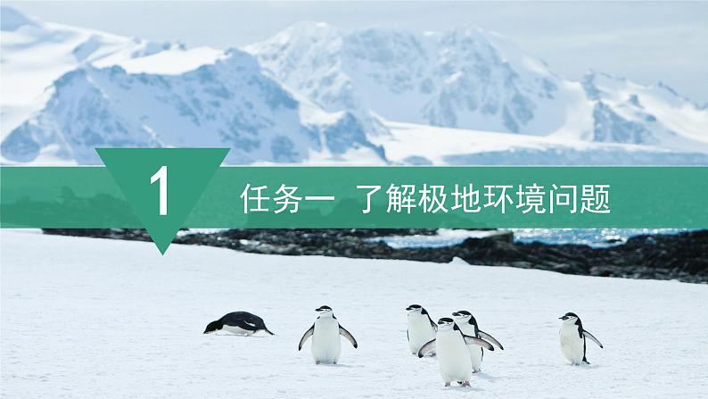 【课件】湘教版（2024）七年级下册8.6《探究与实践 保护极地环境》第6页