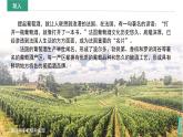 2024新教材湘教版 七年級(jí)下冊(cè)9.4《法國(guó)》教案+學(xué)案+課件