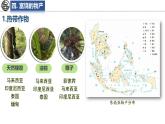 8.1 東南亞 第2課時(shí) 課件-2024-2025學(xué)年七年級(jí)地理下學(xué)期湘教版（2024）