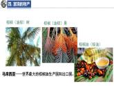 8.1 東南亞 第2課時(shí) 課件-2024-2025學(xué)年七年級(jí)地理下學(xué)期湘教版（2024）