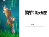 8.4澳大利亚 课件-2024-2025学年七年级地理下学期商务星球版（2024）