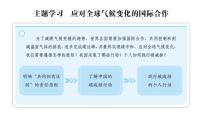 初中地理商务星球版(2024)七年级下册(2024)主题学习 应对全球气候变化的国际合作图文课件ppt
