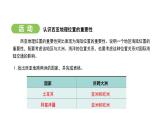人教版（2024）地理七年级下册 9.1 西亚 第1课时 “三洲五海”之地 世界石油宝库（课件）