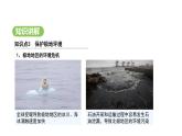 人教版（2024）地理七年级下册 11.2 保护极地环境（课件）