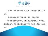 人教版（2024）地理七年級下冊 8.2《東南亞》 第1課時 “十字路口”的位置 熱帶氣候與農(nóng)業(yè)生產(chǎn) （課件+教案）