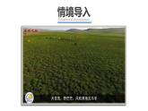 人教版（2024）地理七年級下冊 9.3《撒哈拉以南的非洲》（課件+教案）