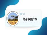 人教版（2024）地理七年級下冊 9.3《撒哈拉以南的非洲》（課件+教案）