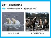 【湘教新版】7下第八章 探究與實(shí)踐 《保護(hù)極地環(huán)境》教學(xué)課件
