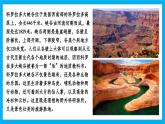 【湘教新版】7下第九章 第五節(jié) 《美國(guó)》教學(xué)課件（第1課時(shí)）