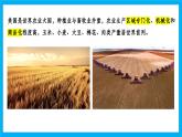 【湘教新版】7下第九章 第五節(jié) 《美國(guó)》教學(xué)課件（第2課時(shí)）